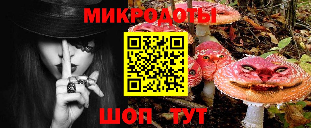 Галлюциногенные грибы прущие грибы  Галлюциногенные грибы прущие грибы  Элиста  Вход с VPN 